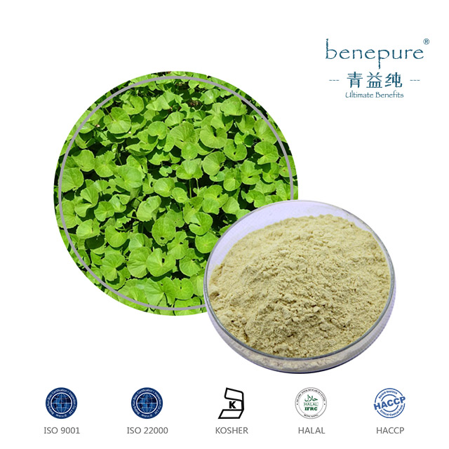 Gotu Kola Extract (Centella Asiatia)  