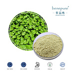 Gotu Kola Extract (Centella Asiatia)