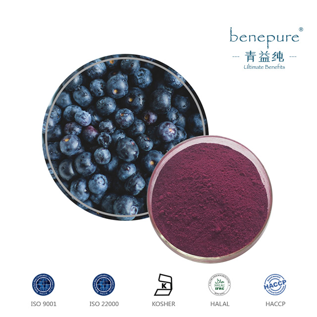 Blueberry Extract  