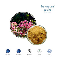 Rhodiola Rosea Extract