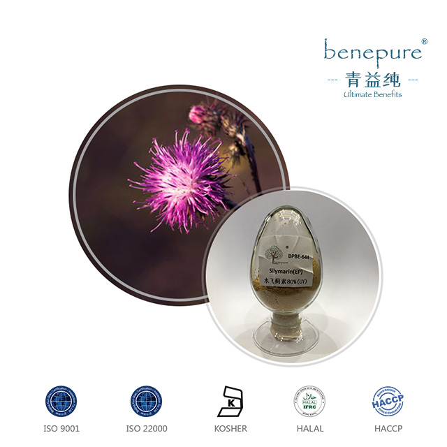 Milk Thistle Extract  