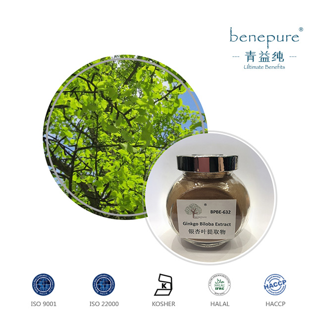 Ginkgo Biloba Extract  