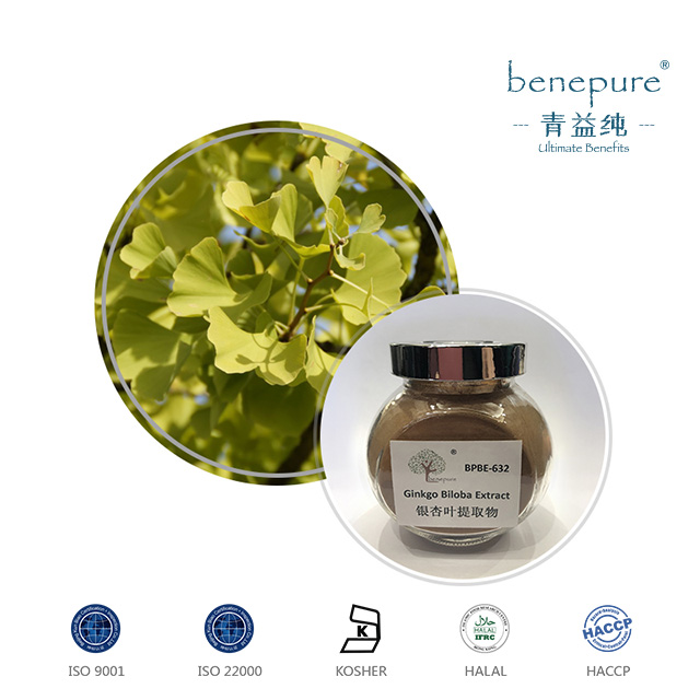 Ginkgo Biloba Extract  