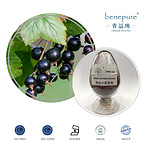 Black Currant Extract