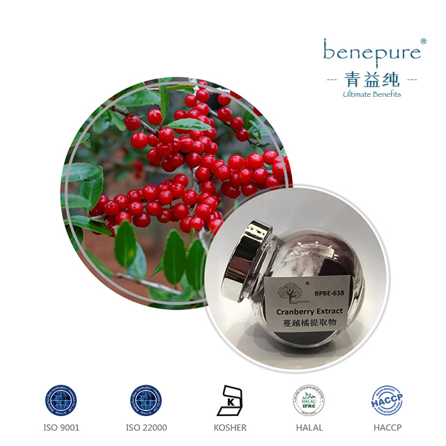 Cranberry Extract  