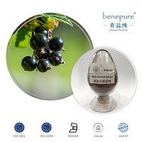 Black Currant Extract