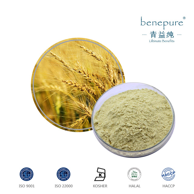 FERULIC ACID  