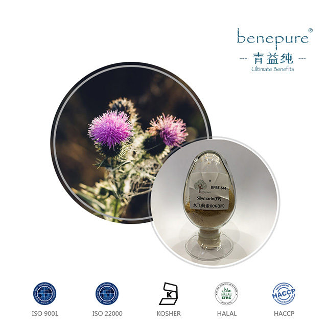 Milk Thistle Extract  