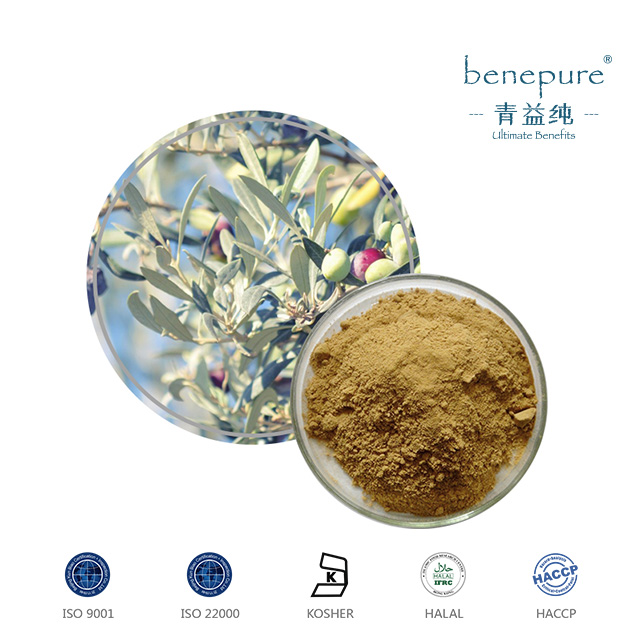 Olive Leaf Extract  