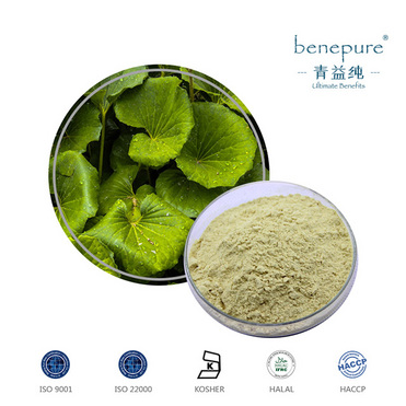 Gotu Kola Extract (Centella Asiatia)