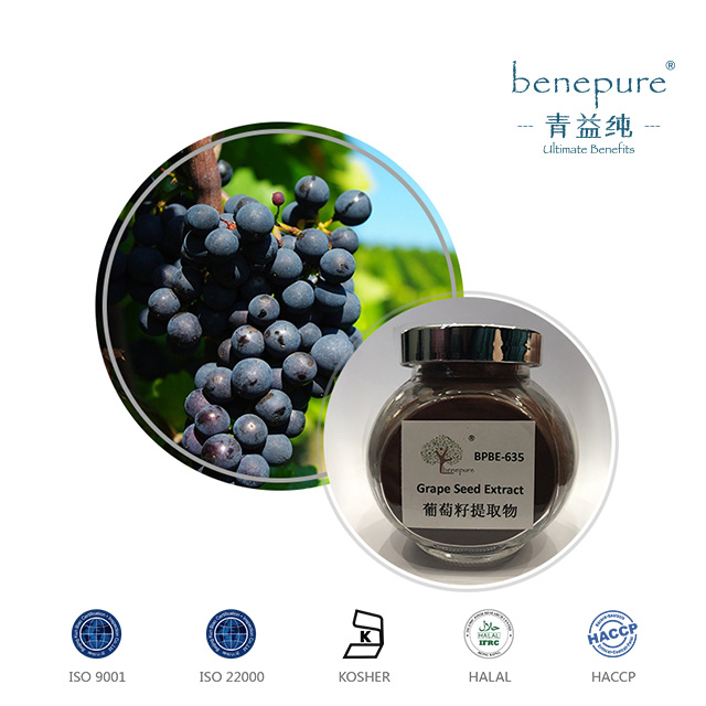 Grape Seed Extract  