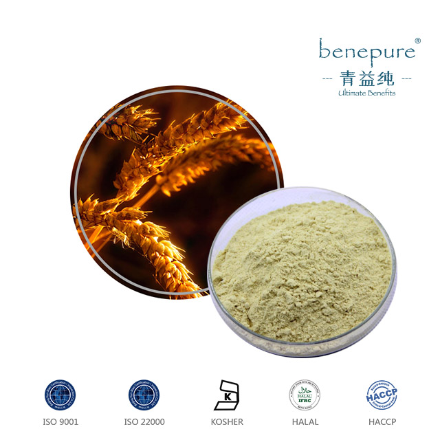 FERULIC ACID  