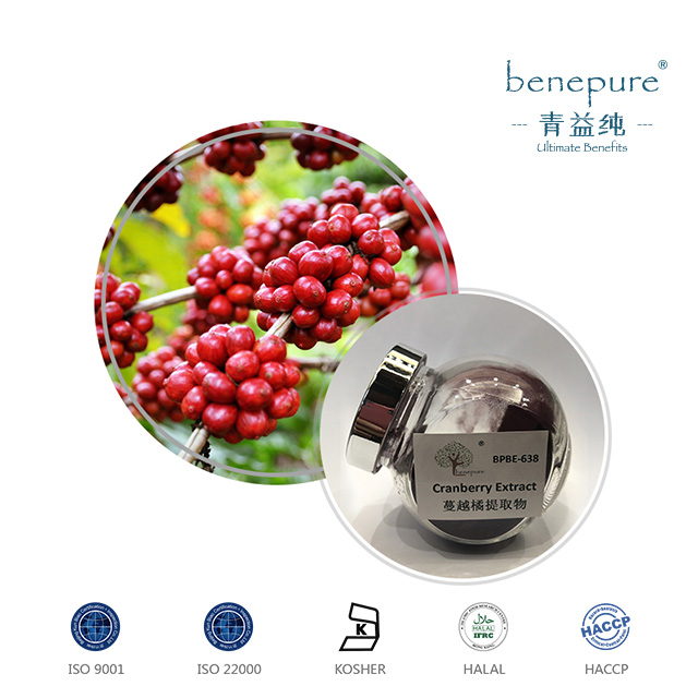 Cranberry Extract  