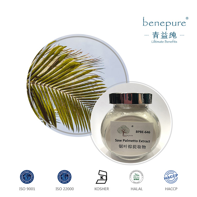 Saw Palmetto P.E.  