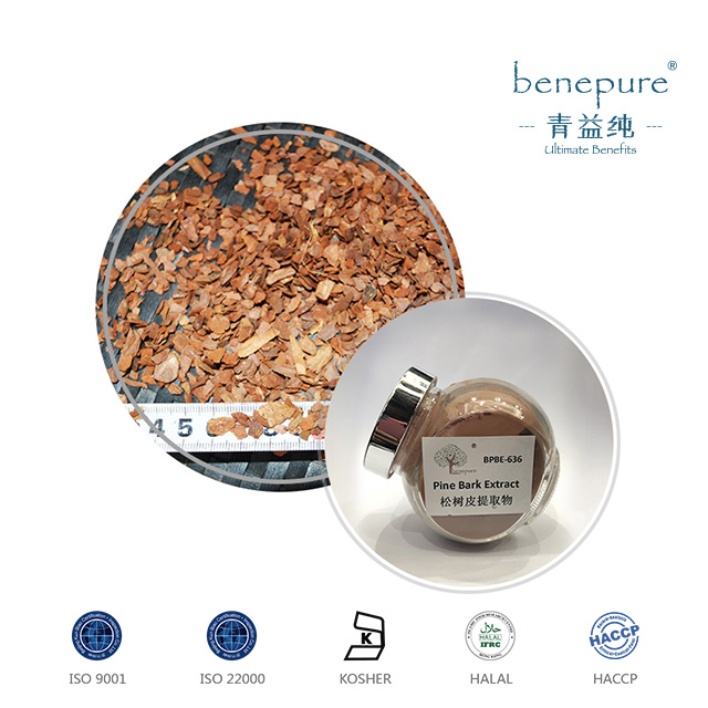 Pine Bark Extract  