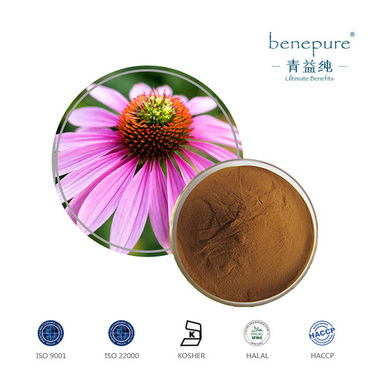 Echinacea Purpurea Extract