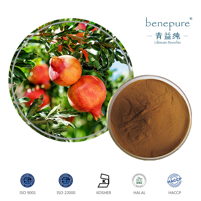 Pomegranate Extract  