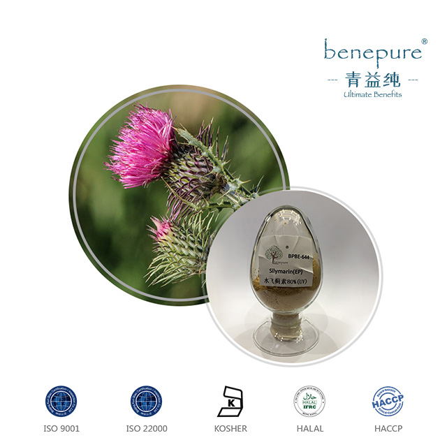 Milk Thistle Extract  