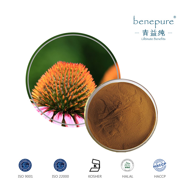 Echinacea Purpurea Extract  