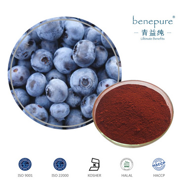 European Bilberry Extract