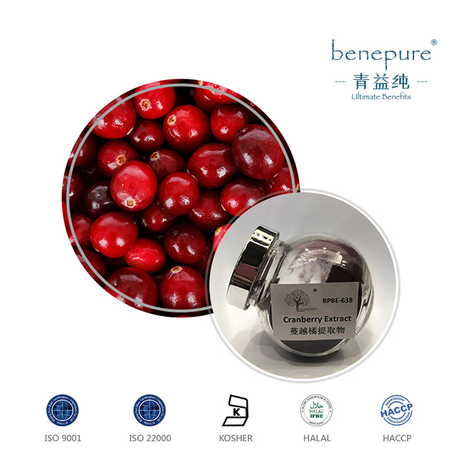 Cranberry Extract  