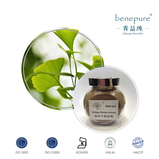 Ginkgo Biloba Extract  