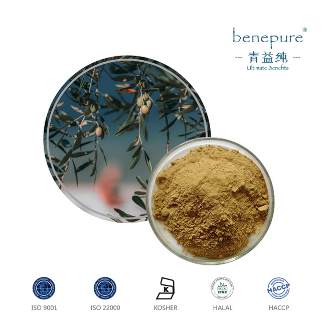 Olive Leaf Extract  