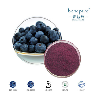 Chinese Bilberry Extract