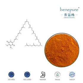 Coenzyme Q10/Ubidecarenone