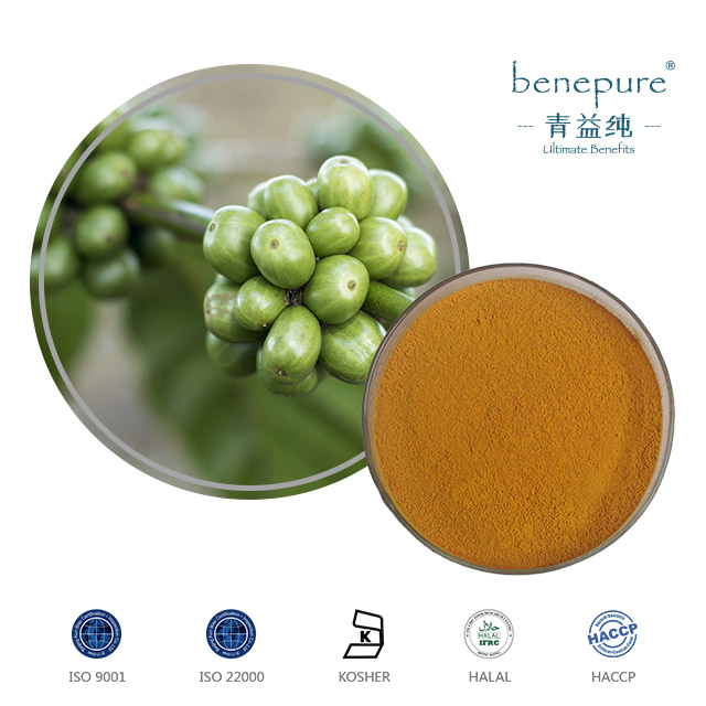Green coffee bean  