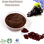 Natural Grape Seed Extract