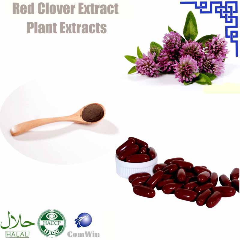 Red Clover Extract