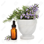 Rosemary Essential Oil