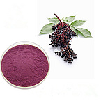 Elderberry Extract