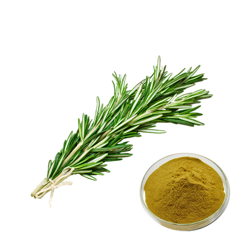 Rosemary Extract