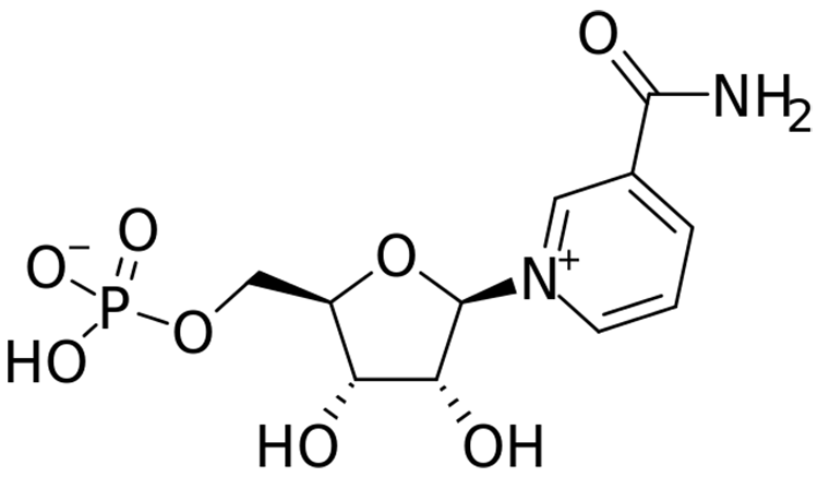 beta-nicotinamide mononucleotide