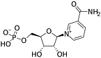 beta-nicotinamide mononucleotide