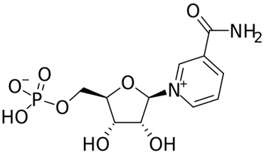 beta-nicotinamide mononucleotide