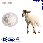 Monensin Sodium 22373-78-0