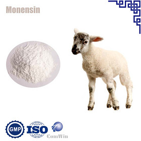 Monensin Sodium 22373-78-0