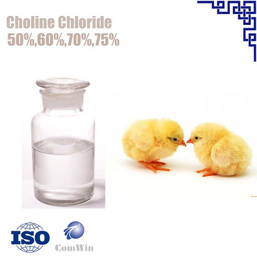 Choline Chloride 60%