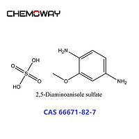 2,5-Diaminoanisole sulfate   (66671-82-7)