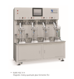 Quadruple glass bioreactor (off-site sterilization)