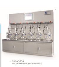 Multiple glass bioreactor (6-12-uple,off-site sterilization)