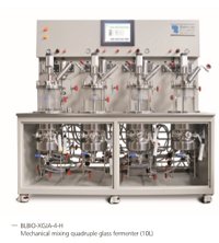 Quadruple glass bioreactor (sterilizing in situ )
