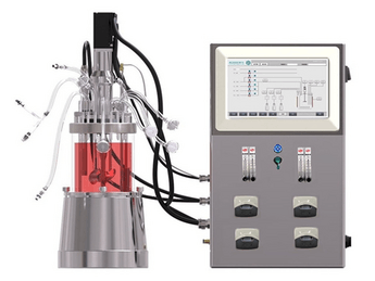 Lab Scale Bioreactor