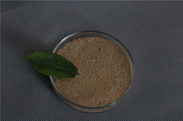 Codonopsis Pilosula Extract