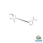 Nicotinamide riboside chloride