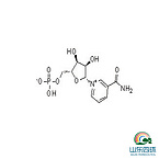 β-Nicotinamide Mononucleotide NMN