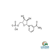 β-Nicotinamide Mononucleotide NMN